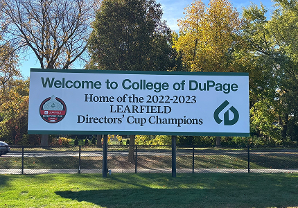 college of dupage after img