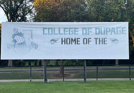 college of dupage before img